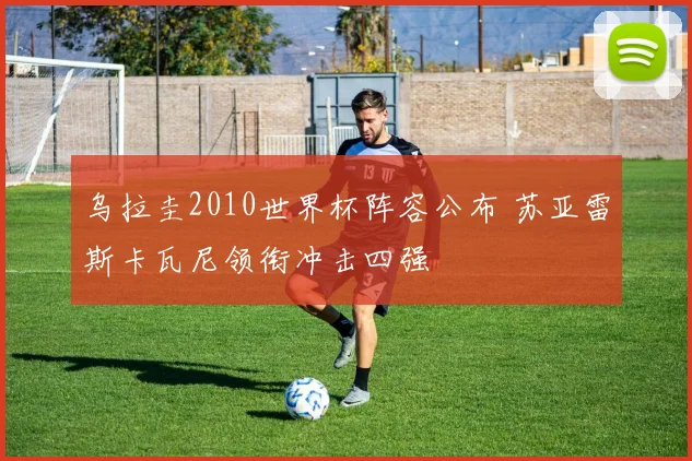 乌拉圭2010世界杯阵容公布 苏亚雷斯卡瓦尼领衔冲击四强