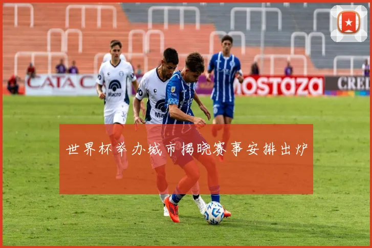 世界杯举办城市揭晓赛事安排出炉