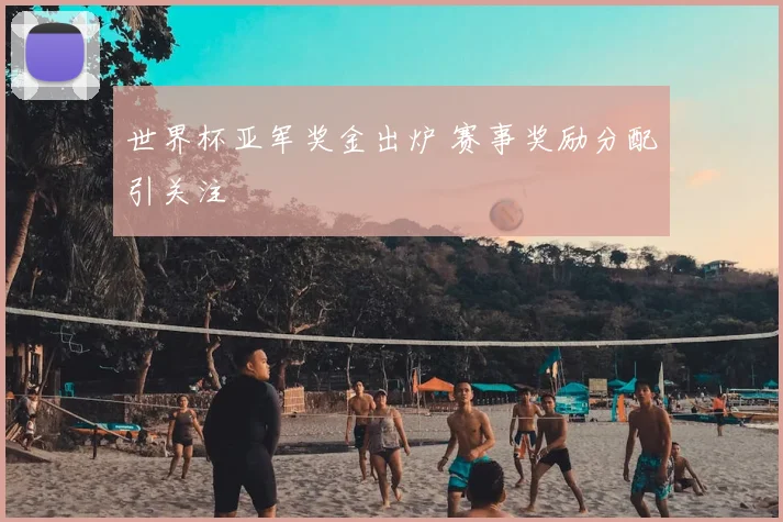 世界杯亚军奖金出炉 赛事奖励分配引关注