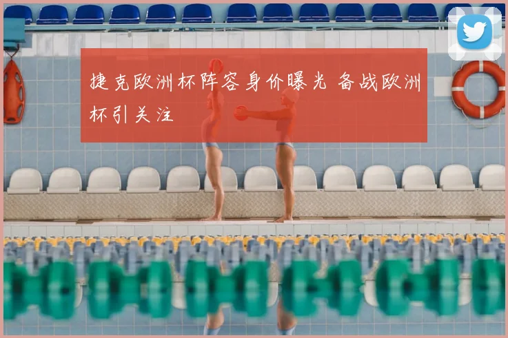 捷克欧洲杯阵容身价曝光 备战欧洲杯引关注