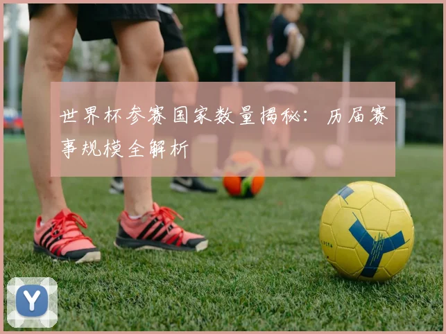 世界杯参赛国家数量揭秘：历届赛事规模全解析
