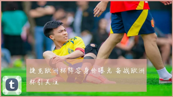 捷克欧洲杯阵容身价曝光 备战欧洲杯引关注