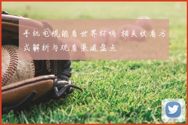 手机电视能看世界杯吗 相关收看方式解析与观看渠道盘点