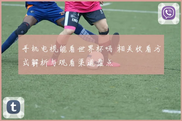 手机电视能看世界杯吗 相关收看方式解析与观看渠道盘点