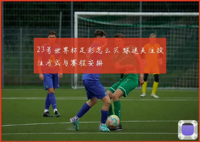 23号世界杯足彩怎么买 球迷关注投注方式与赛程安排