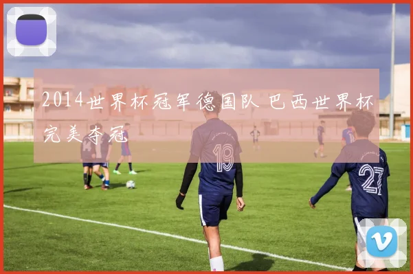 2014世界杯冠军德国队 巴西世界杯完美夺冠
