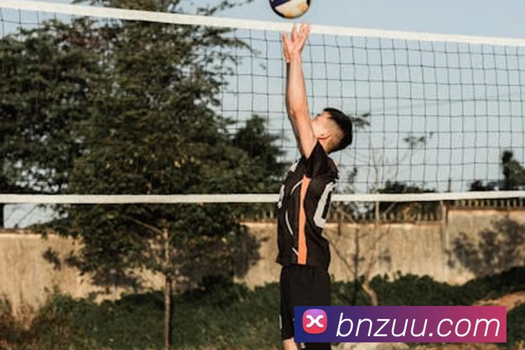 球赛押注app官网服务体系